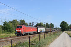 DBCS EG 3113. Søndag  9. august 2020, Nonnebo